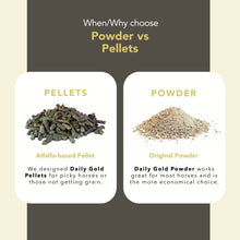 Load image into Gallery viewer, Daily Gold® - Horse Gut Supplements