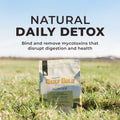 Daily Gold® - Horse Gut Supplements