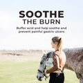 Daily Gold® - Horse Gut Supplements
