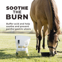 Load image into Gallery viewer, Daily Gold® - Horse Gut Supplements
