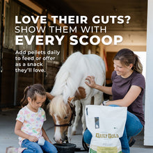 Load image into Gallery viewer, Daily Gold® - Horse Gut Supplements