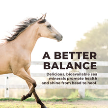 Load image into Gallery viewer, Daily Red® Crushed™ Garlic - Mineral Supplement for Horses