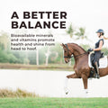 Daily Red® Fortified Garlic - Horse Vitamin & Mineral Supplement