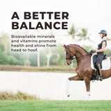 Daily Red® Fortified Garlic - Horse Vitamin & Mineral Supplement
