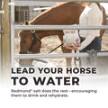 Daily Red® Crushed™ Garlic - Mineral Supplement for Horses