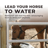 Daily Red® Fortified - Vitamin & Mineral Supplement For Horses