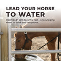 Daily Red® Crushed™ - Mineral Supplement for Horses