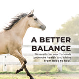 Daily Red® Crushed™ - Mineral Supplement for Horses
