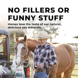 Daily Red® Fortified - Vitamin & Mineral Supplement For Horses
