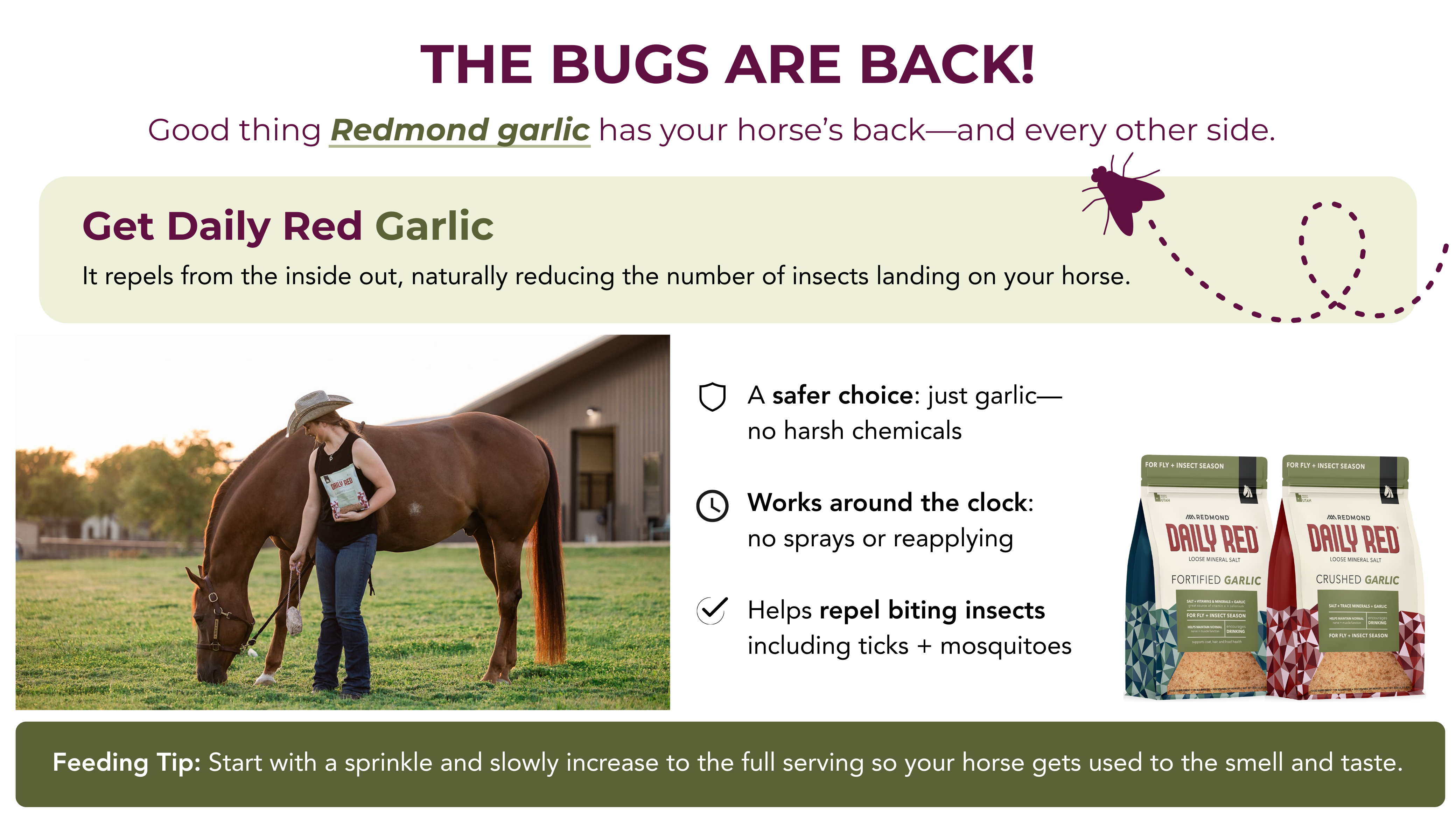 Daily Red® Fortified Garlic - Horse Vitamin & Mineral Supplement